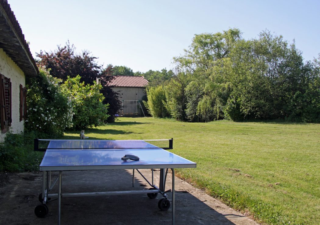 Quel type de balle choisir pour jouer au tennis de table ? -  -  Your Table Tennis Expert